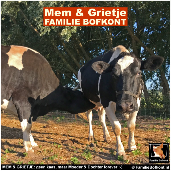 MEM & GRIETJE: geen kaas, maar moeder & dochter forever :-)