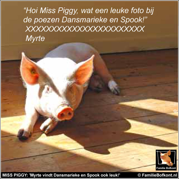 MISS PIGGY: 'Myrte vindt Dansmarieke en Spook ook leuk!'