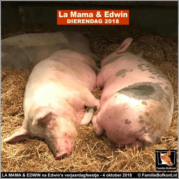 LA MAMA & EDWIN na Edwin's verjaardagfeestje - 4 oktober 2018